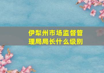 伊犁州市场监督管理局局长什么级别