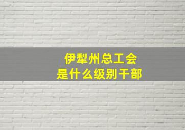 伊犁州总工会是什么级别干部