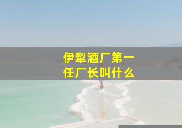 伊犁酒厂第一任厂长叫什么