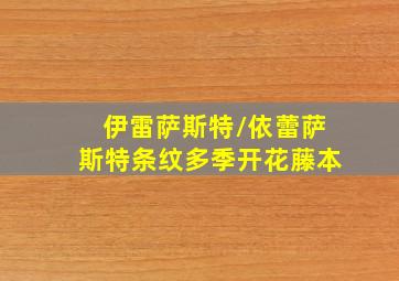 伊雷萨斯特/依蕾萨斯特条纹多季开花藤本