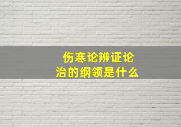 伤寒论辨证论治的纲领是什么