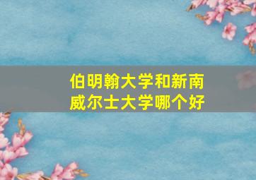 伯明翰大学和新南威尔士大学哪个好