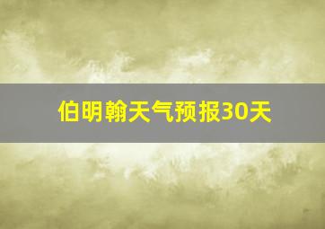 伯明翰天气预报30天