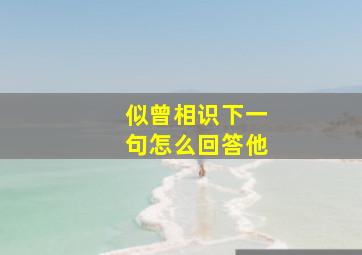 似曾相识下一句怎么回答他