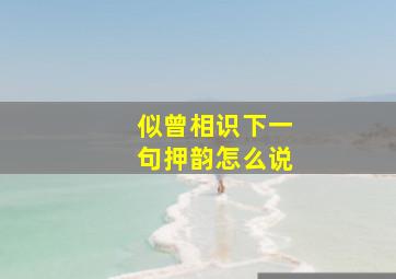 似曾相识下一句押韵怎么说