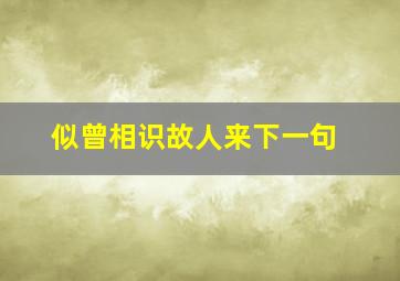 似曾相识故人来下一句