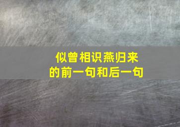 似曾相识燕归来的前一句和后一句