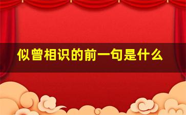 似曾相识的前一句是什么