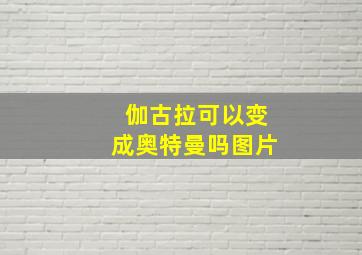 伽古拉可以变成奥特曼吗图片