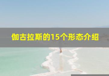 伽古拉斯的15个形态介绍