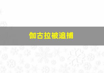 伽古拉被追捕