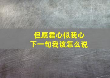 但愿君心似我心下一句我该怎么说