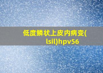 低度鳞状上皮内病变(lsil)hpv56