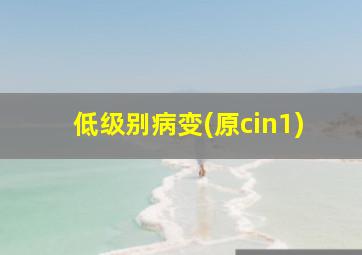 低级别病变(原cin1)