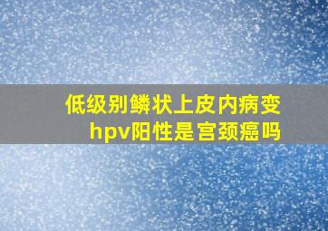 低级别鳞状上皮内病变hpv阳性是宫颈癌吗