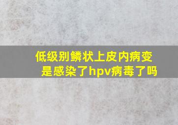 低级别鳞状上皮内病变是感染了hpv病毒了吗