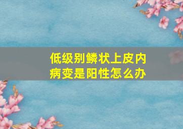 低级别鳞状上皮内病变是阳性怎么办