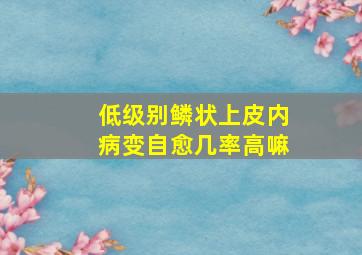 低级别鳞状上皮内病变自愈几率高嘛