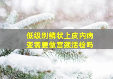 低级别鳞状上皮内病变需要做宫颈活检吗