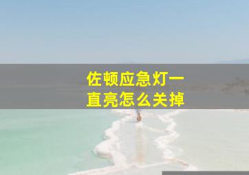 佐顿应急灯一直亮怎么关掉