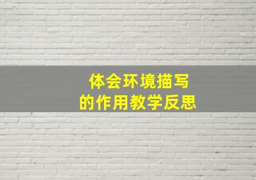 体会环境描写的作用教学反思