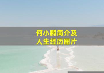 何小鹏简介及人生经历图片