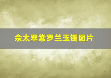 佘太翠紫罗兰玉镯图片