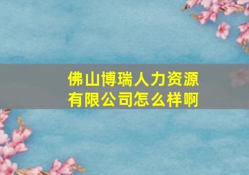 佛山博瑞人力资源有限公司怎么样啊