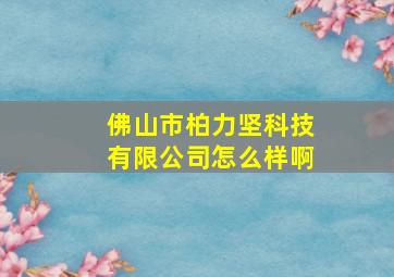 佛山市柏力坚科技有限公司怎么样啊