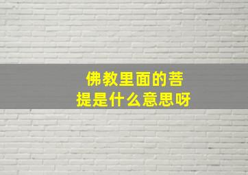 佛教里面的菩提是什么意思呀