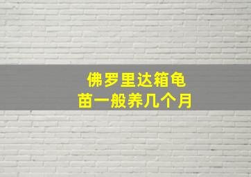 佛罗里达箱龟苗一般养几个月