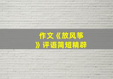 作文《放风筝》评语简短精辟