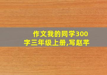 作文我的同学300字三年级上册,写赵芊