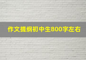 作文提纲初中生800字左右