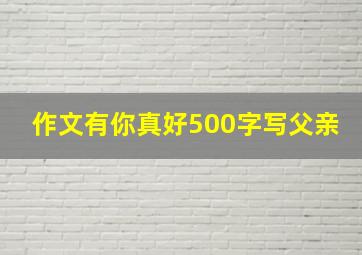 作文有你真好500字写父亲