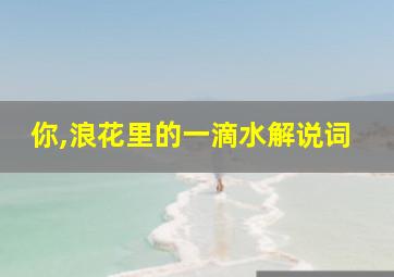 你,浪花里的一滴水解说词