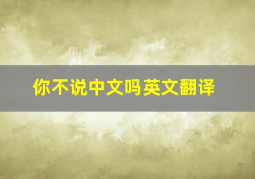 你不说中文吗英文翻译