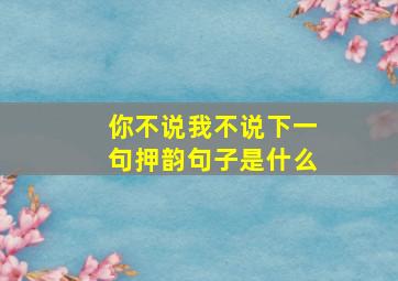 你不说我不说下一句押韵句子是什么