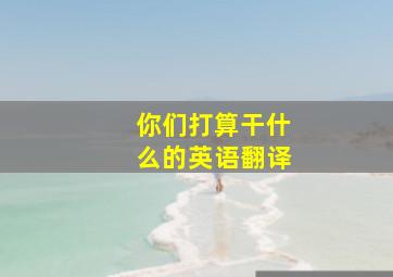 你们打算干什么的英语翻译