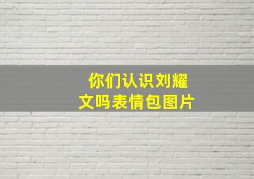 你们认识刘耀文吗表情包图片