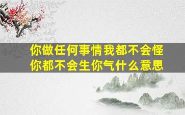 你做任何事情我都不会怪你都不会生你气什么意思