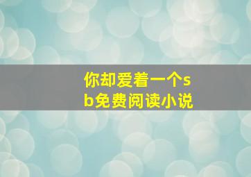 你却爱着一个sb免费阅读小说