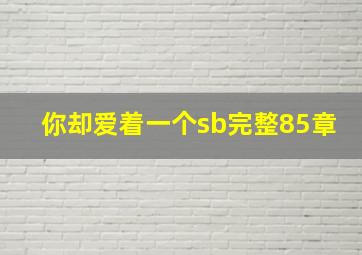 你却爱着一个sb完整85章