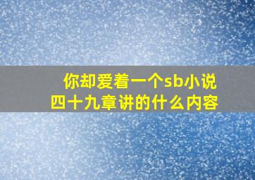 你却爱着一个sb小说四十九章讲的什么内容