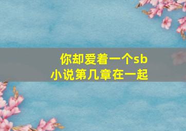 你却爱着一个sb小说第几章在一起