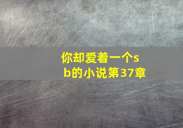 你却爱着一个sb的小说第37章