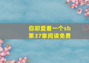 你却爱着一个sb第37章阅读免费