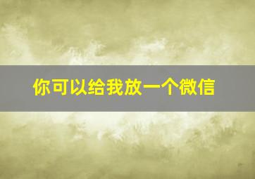 你可以给我放一个微信