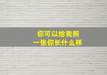 你可以给我照一张你长什么样