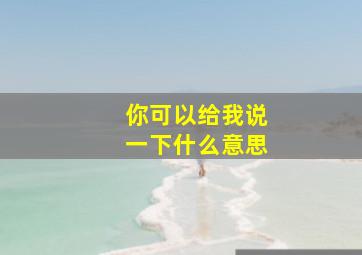 你可以给我说一下什么意思